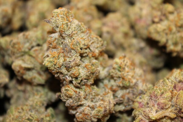 Including Cannabidiol in Your Morning Yoga Routine